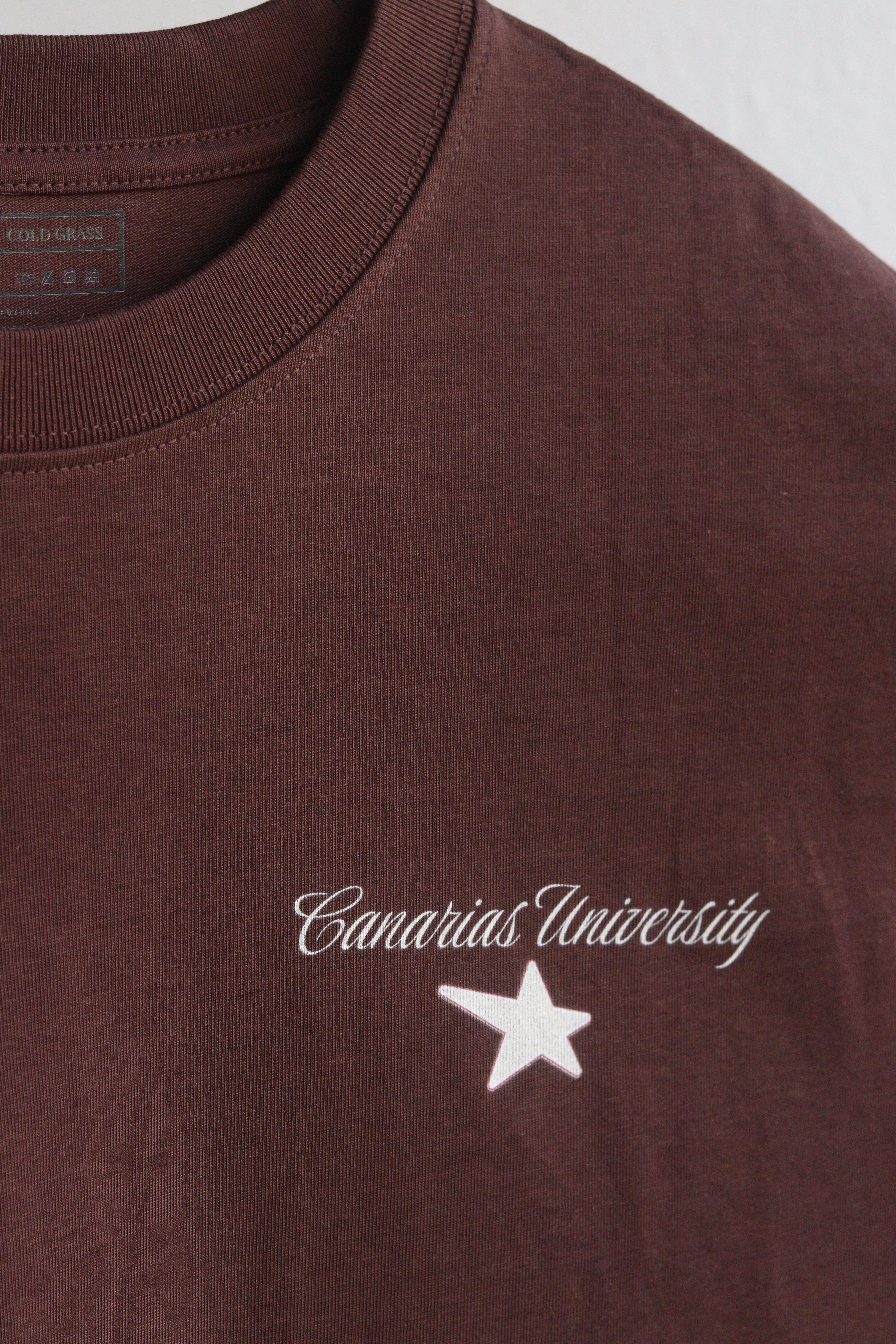 Golden Touch Tee - Cropped